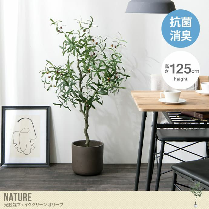 【送料無料】Nature ナチュレ 高さ125cm 観葉植物 オリーブ