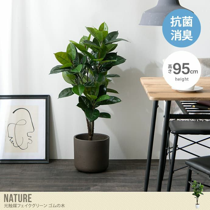 【送料無料】Nature ナチュレ 高さ95cm 観葉植物 ゴムの木 フィカス