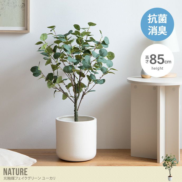 送料無料光触媒人工観葉植物ユーカリ高さ130cm フェイクグリーン（1272）