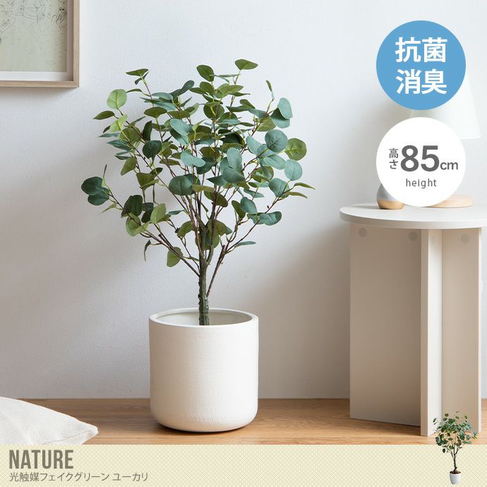 【送料無料】Nature ナチュレ 高さ85cm 観葉植物 ユーカリ フェイクグリーン 人工 室内 リビング オフィス 一人暮らし 緑 インテリア  光触媒 空気清浄 消臭 抗菌 防汚 ホルムアルデヒド分解 おしゃれ 人工 造花 観葉 植物 植木 鉢植え 新築祝い 開店 グリーン | ... 15個 秋の人工屋外枝 ユーカリの葉、フェイクシルクデイジー、フェイクフラワー 屋内 屋外 吊り下げ 植物 ガーデン ポーチ ウィン