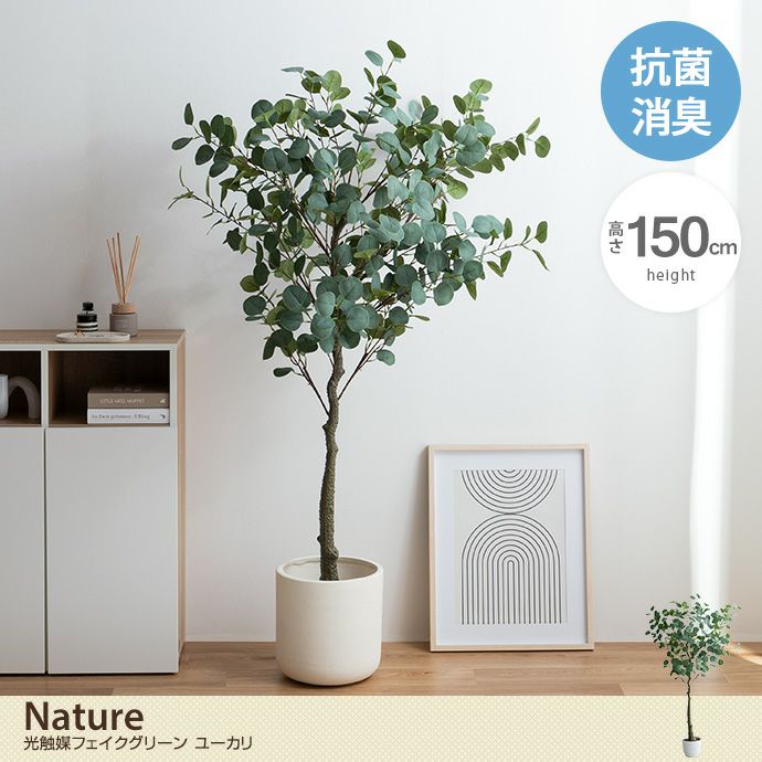 【送料無料】Nature ナチュレ 高さ150cm 観葉植物 ユーカリ